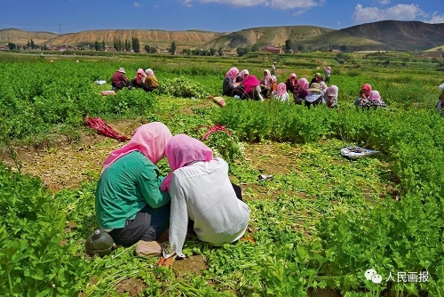 640.webp (11) 640.webp (11)