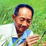 W020181211320593395474 W020181211320593395474