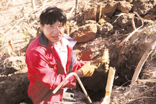 5b0a69cd-a0f5-4207-955a-03d731c05ff2 5b0a69cd-a0f5-4207-955a-03d731c05ff2