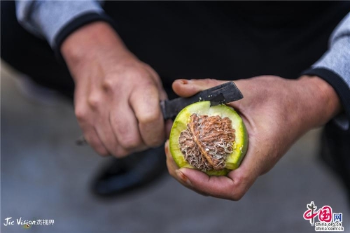 7d254427-8c04-4345-bab8-e623e26ae3dd_batchwm