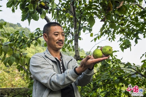 18268c32-77cf-4b23-8889-472fefad658b_batchwm