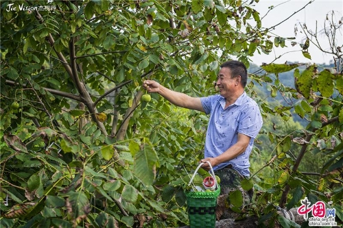 58d08577-3732-4f29-bcb1-729336e21f45_batchwm