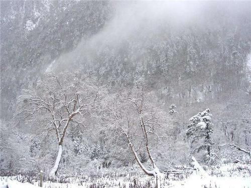 贡山丙中洛大雪4