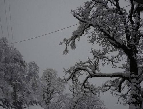 贡山丙中洛大雪2