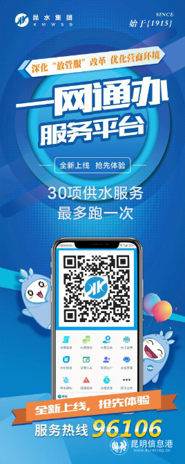 一网通办服务平台