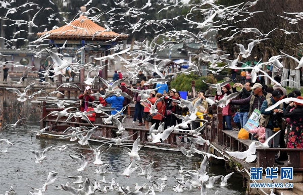 137713992_15463939217331n