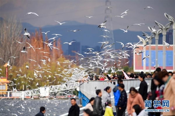 137713992_15463939217901n