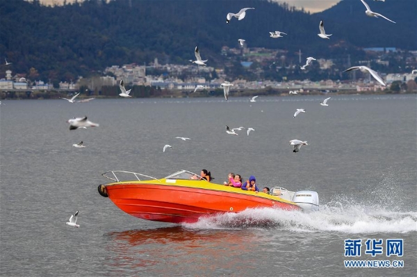 137713992_15463939218831n