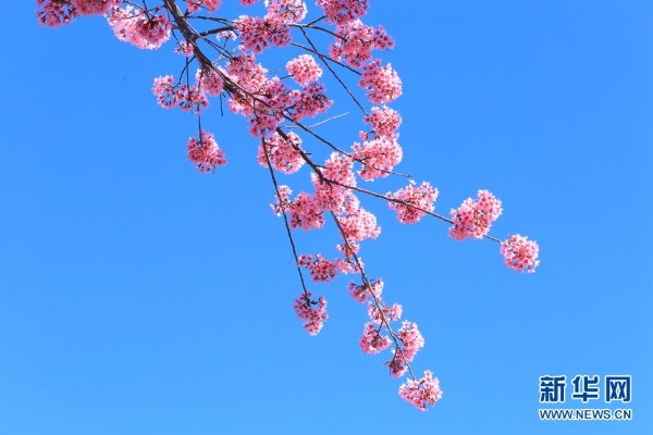 137704738_15459852874451n 137704738_15459852874451n