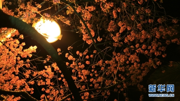 137704738_15459852877161n 137704738_15459852877161n