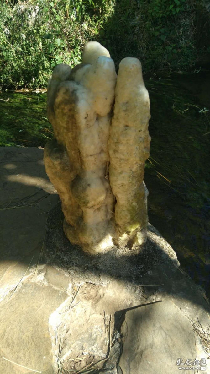 1545972743_XnBfqQ 1545972743_XnBfqQ