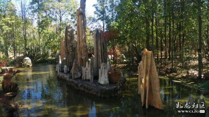 1545972747_URyP1H 1545972747_URyP1H