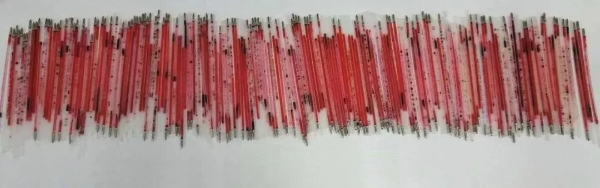 00300325925_c0f8a2ee