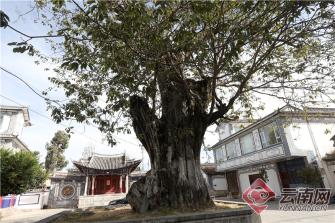 00300321687_c1465052