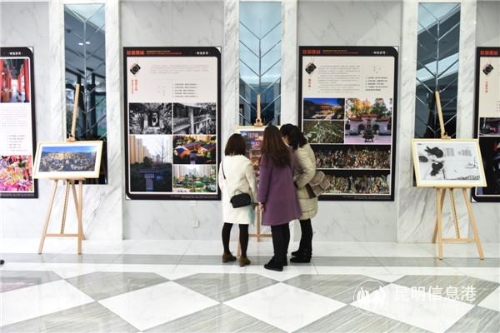 市民观展的同时 互相交流 市民观展的同时 互相交流