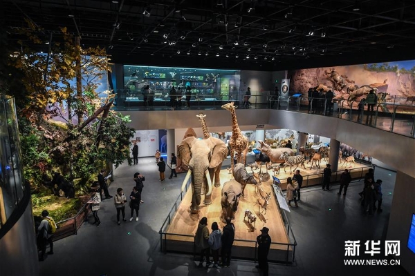 1124073049_15489839177471n8 1124073049_15489839177471n8