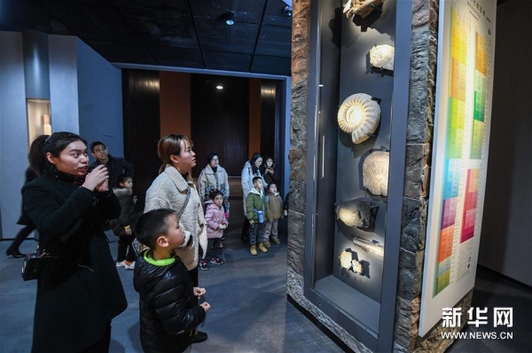 1124073049_15489839178261n10 1124073049_15489839178261n10