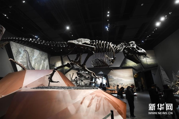 1124073049_15489839179191n12 1124073049_15489839179191n12