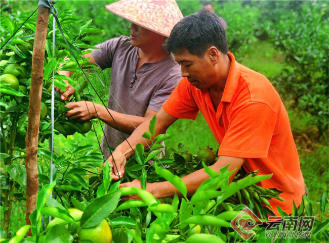 00300374262_f6598dc3 00300374262_f6598dc3