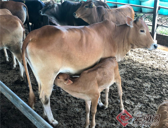 00300374263_3a0e0222 00300374263_3a0e0222