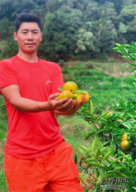 00300374264_c33ea697 00300374264_c33ea697