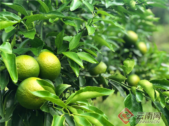 00300374265_2de58a03 00300374265_2de58a03