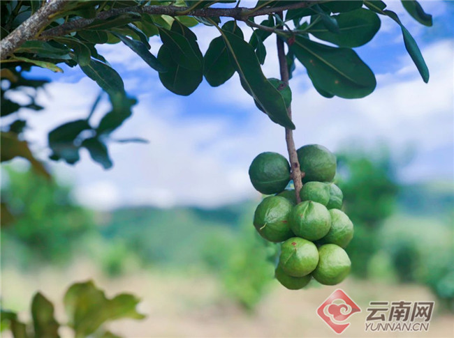 00300374271_420d3515 00300374271_420d3515