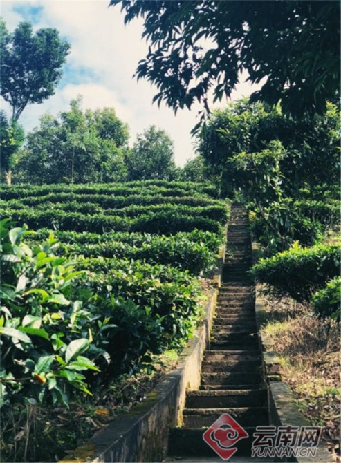 00300374272_716301a0 00300374272_716301a0