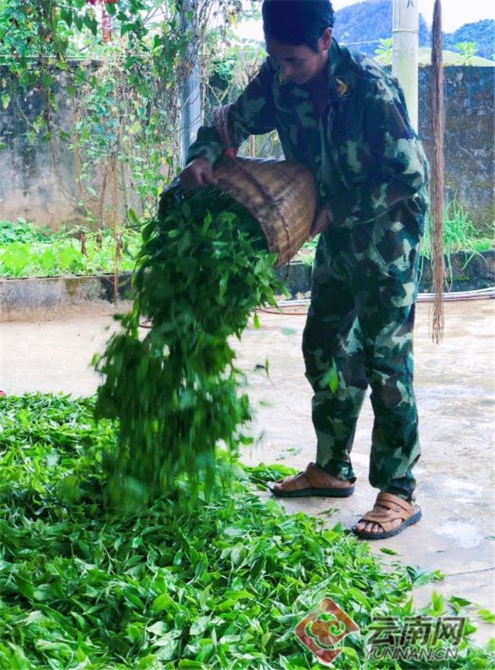 00300374273_a79de919 00300374273_a79de919