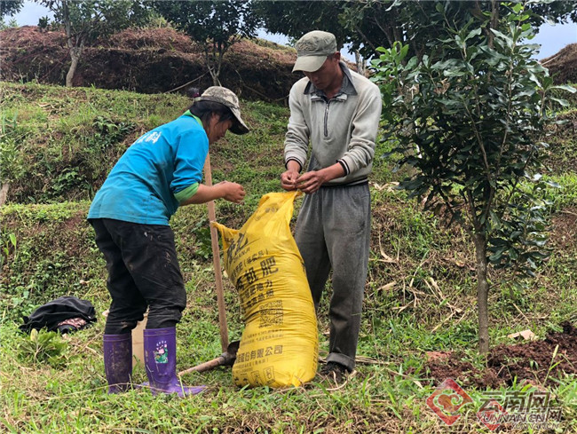 00300374279_a496359b 00300374279_a496359b