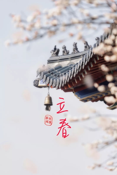 1549206833204_478_1080x1619 1549206833204_478_1080x1619