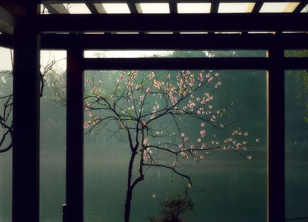 1549207152174_498_1080x780 1549207152174_498_1080x780