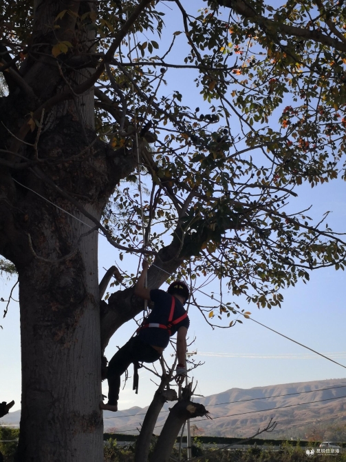 mmexport1549602070454 mmexport1549602070454