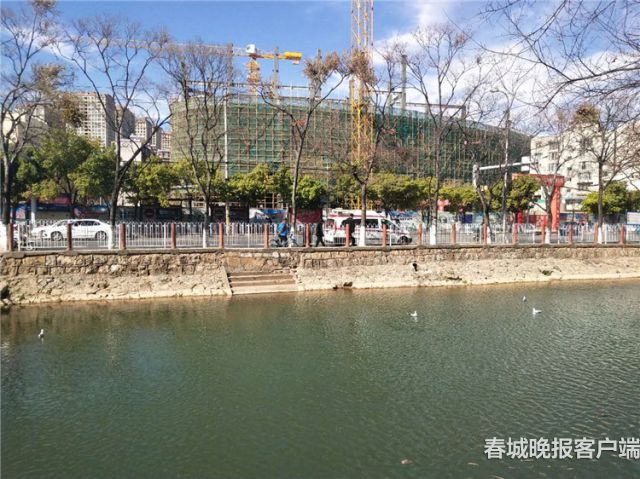 老人掉下河