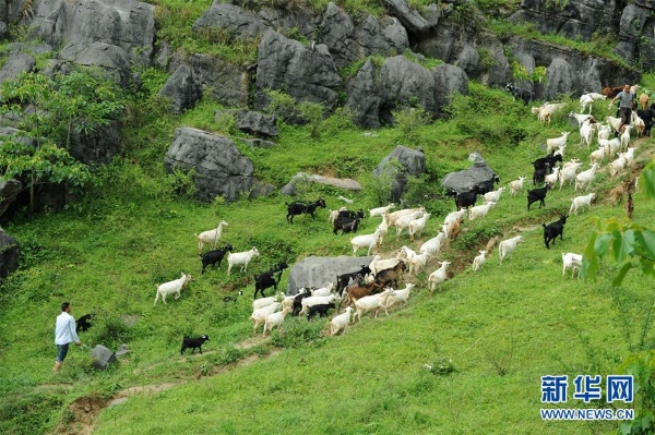 1124123779_15503167625991n