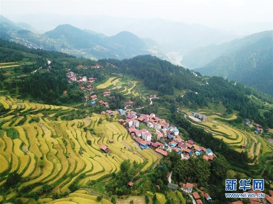 1124123779_15503167626281n