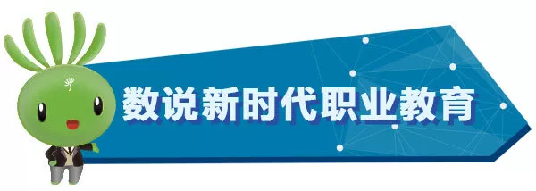 明确路线图和任务书！看新时代职业教育如何改革 | 2019教育新春发布会③