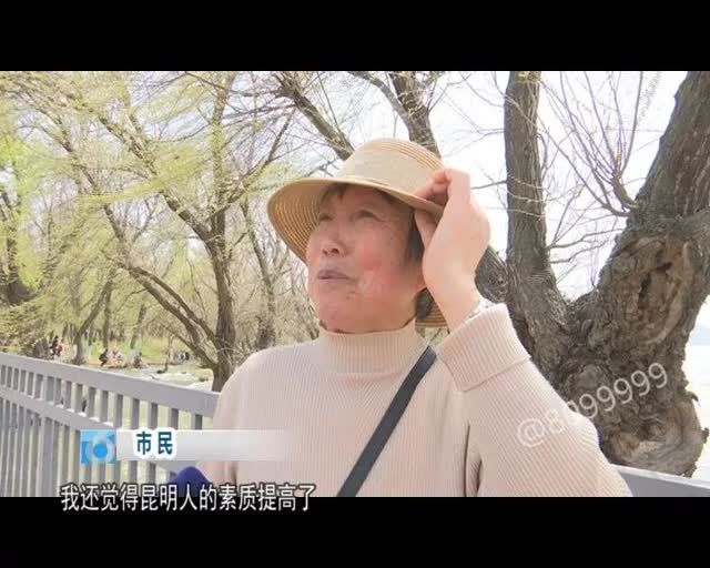 老板留下鸥粮供游客投喂13