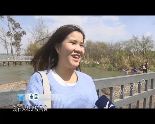 老板留下鸥粮供游客投喂15