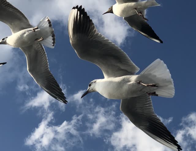 微信图片_20190303144121