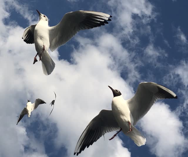 微信图片_20190303144139