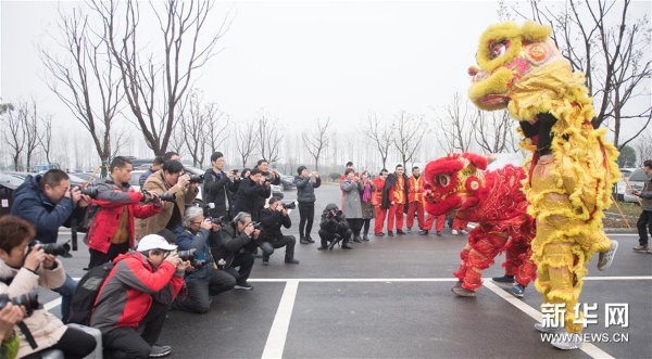 1124187746_15516569490621n