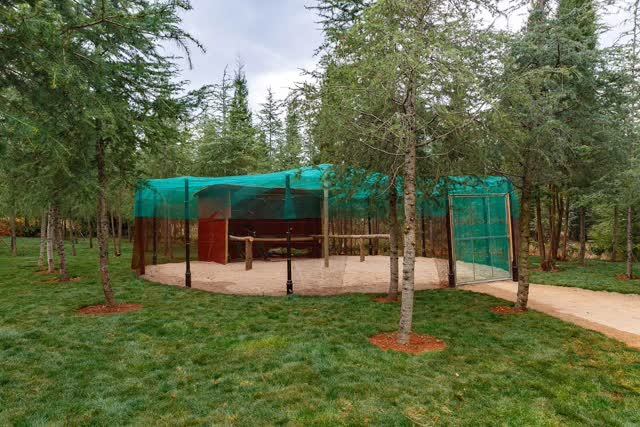 downLoad-20190304202844