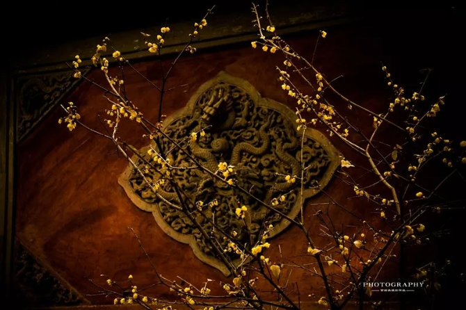 香山话惊蛰 香山话惊蛰