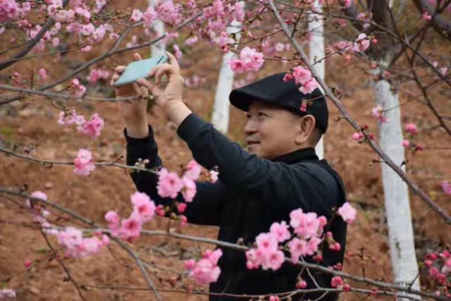 宜良首届樱花文化旅游节