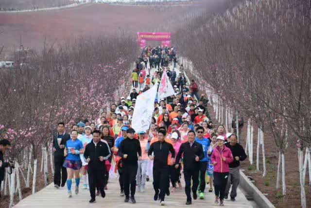 宜良首届樱花文化旅游节