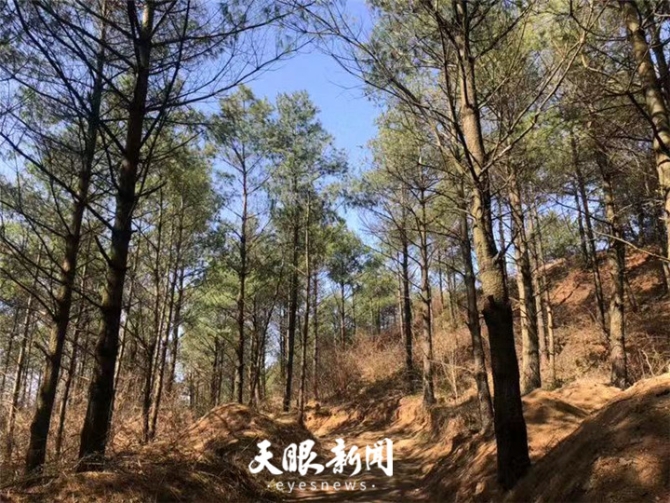 20190310014541_89781.jpg 20190310014541_89781.jpg