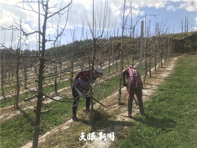 20190310014946_16890.jpg 20190310014946_16890.jpg