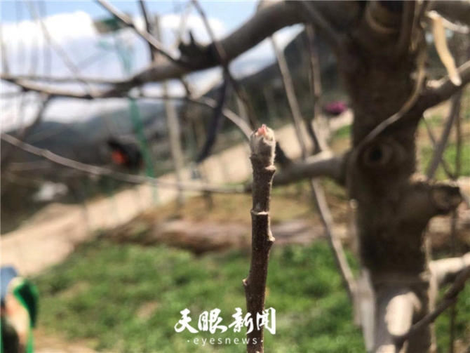 20190310014710_69176.jpg 20190310014710_69176.jpg