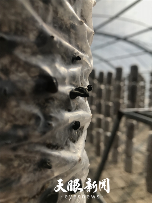 20190310015405_95619.jpg 20190310015405_95619.jpg